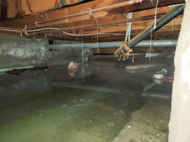 Best Water damage restoration insurance claims  in Norman, OK