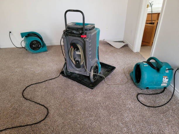 Best Water damage restoration near me  in Norman, OK
