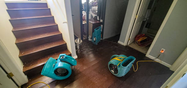 Best Water damage restoration near me  in Norman, OK