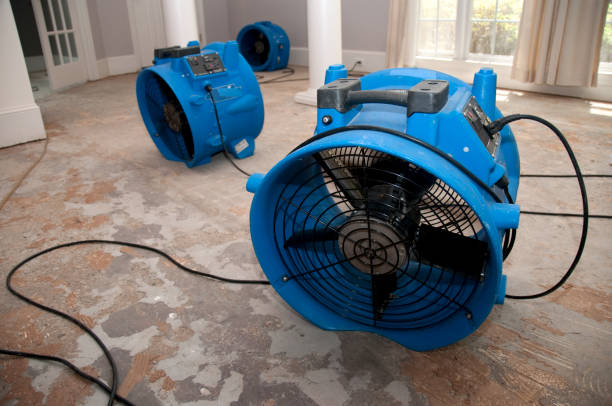 Water damage restoration experts in OK