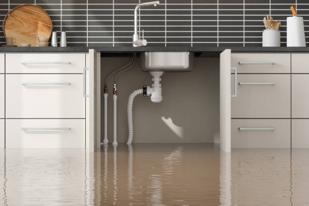 Best Water damage cleanup near me  in Norman, OK