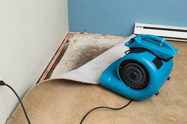 Best Flood damage cleanup  in Norman, OK